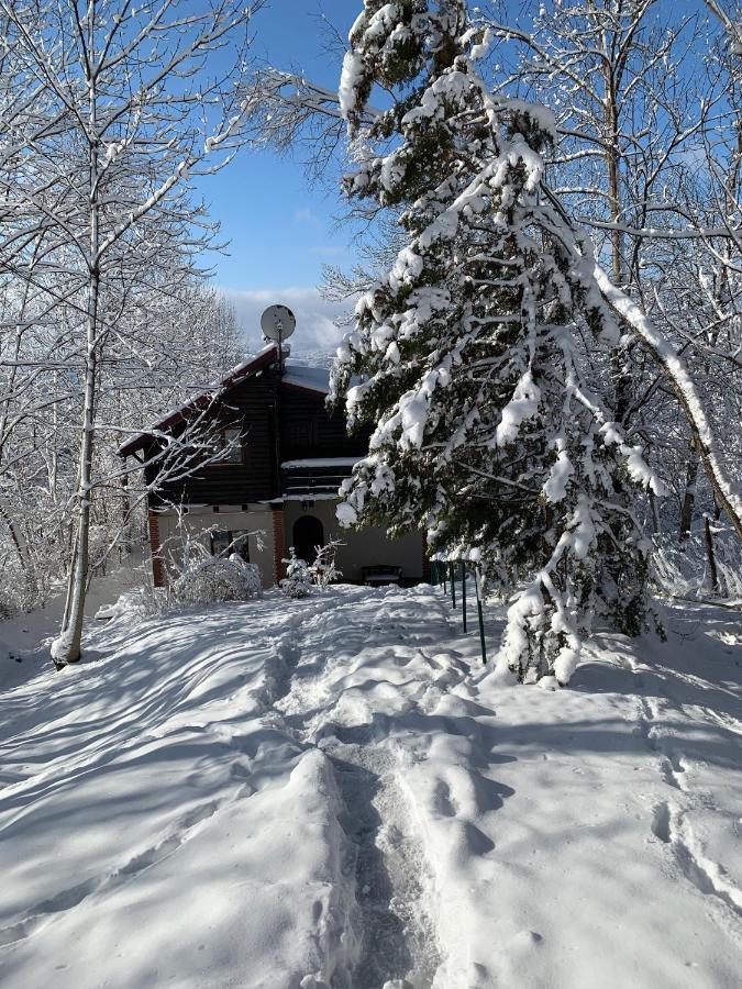 Mountain Family Chalet On Prahova Valley Comarnic Exterior foto